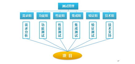 专业测试与软件外包 双轮驱动，赋能企业数字化转型